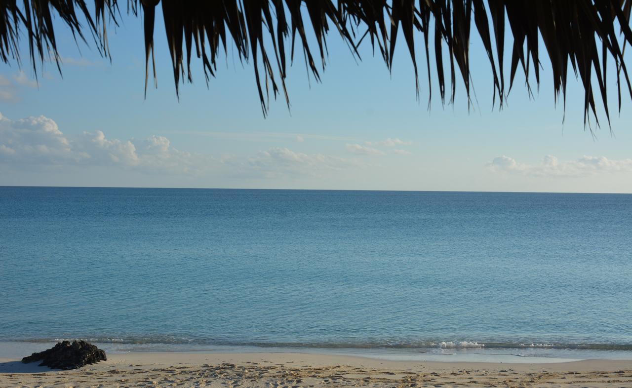 Pigeon Cay Beach Club Arthur Town エクステリア 写真